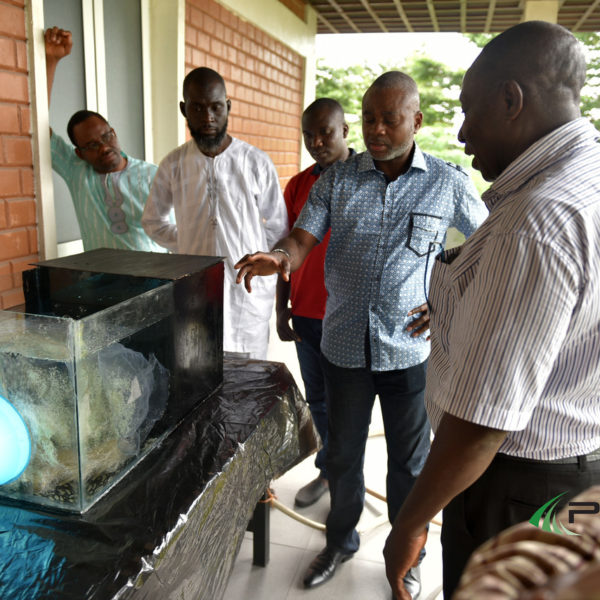 PIND Executive DIrector giving feedback to team Make FIsh