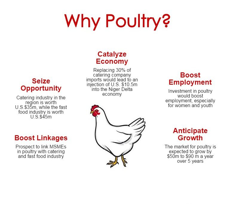 poultry — PIND Foundation