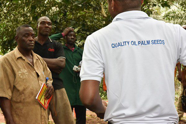 A training session for oil palm farmers on Best Management Practices by solidaridad and Jubali, PIND agro partners on the importance of quality oil palm seeds