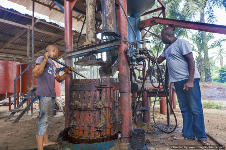 Palm Oil Value Chain Project-DEMO — PIND Foundation