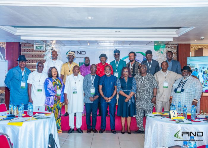 A Leap Forward in Niger Delta’s PIA Implementation 2