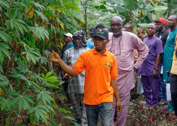 PIND Expands Cassava Seedling Training Program3