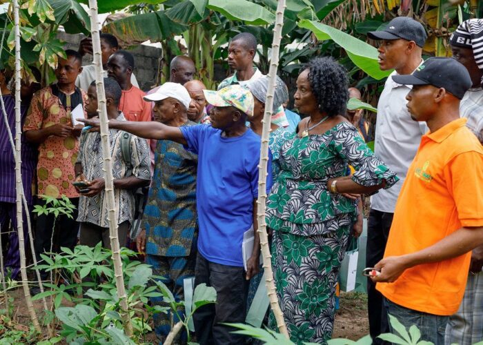 PIND Expands Cassava Seedling Training Program4