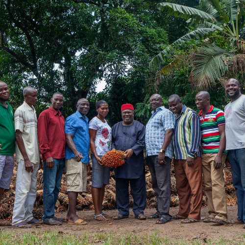EDP - Palm Oil Value Chain Project 61